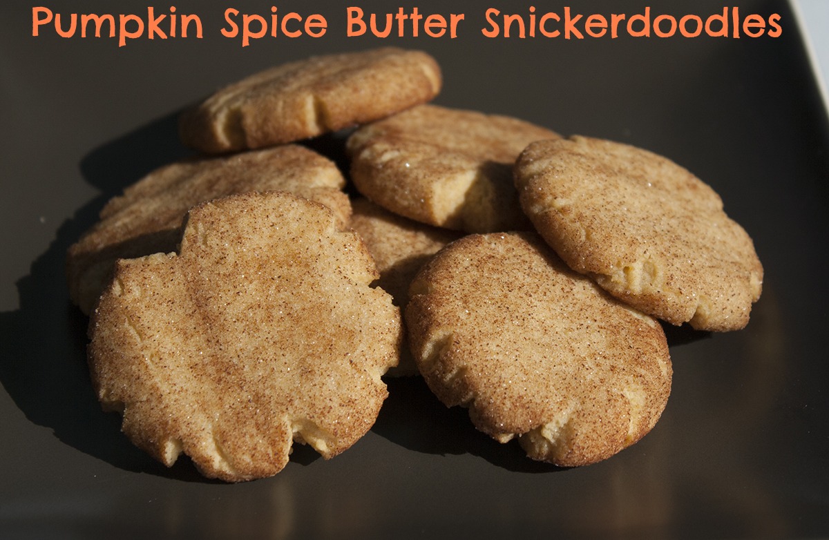A Dash of Sunshine Pumpkin Spice Butter Snickerdoodles