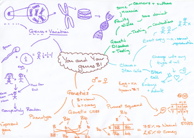 Biology B1 B1+You+and+Your+Genes+Title+Mind+Map