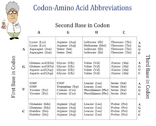 Trna Chart