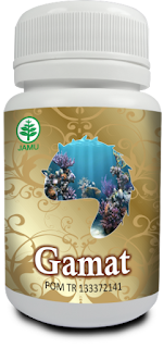Gamat Gold || Gamat Herbal Indo Utama