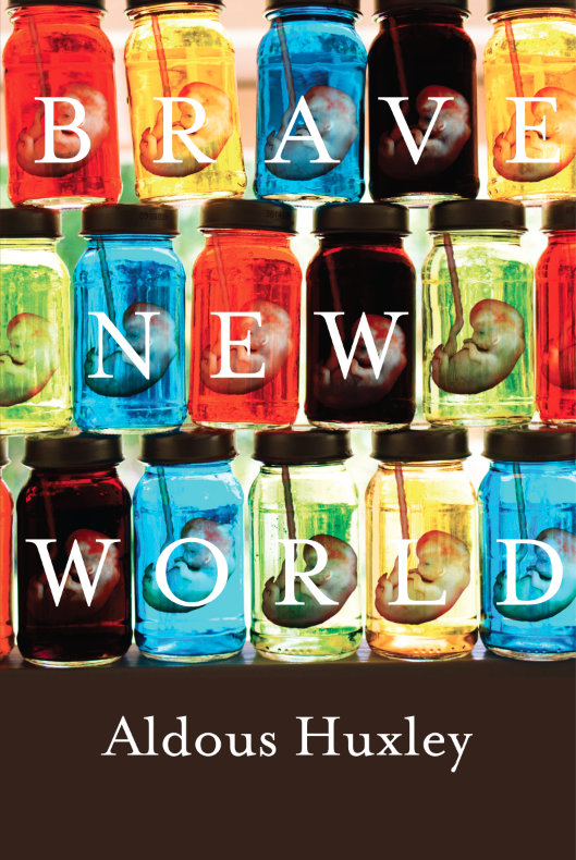 a brave new world book a brave new world book
