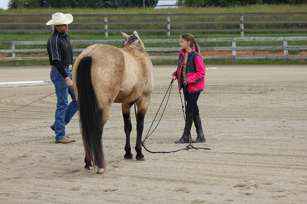 Just Horses Stationary Lunge, Mobile Lunge