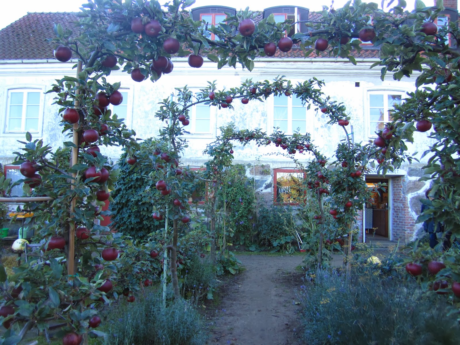 I vÃ¥tt och torrt trädgÃ¥rdsdesign: besök en höstkväll hos Ãsterlens ...
