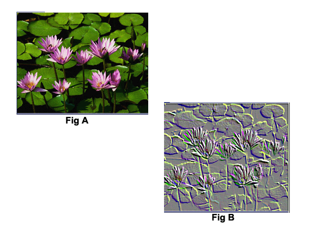 Sattelsitzengefuhl 2011