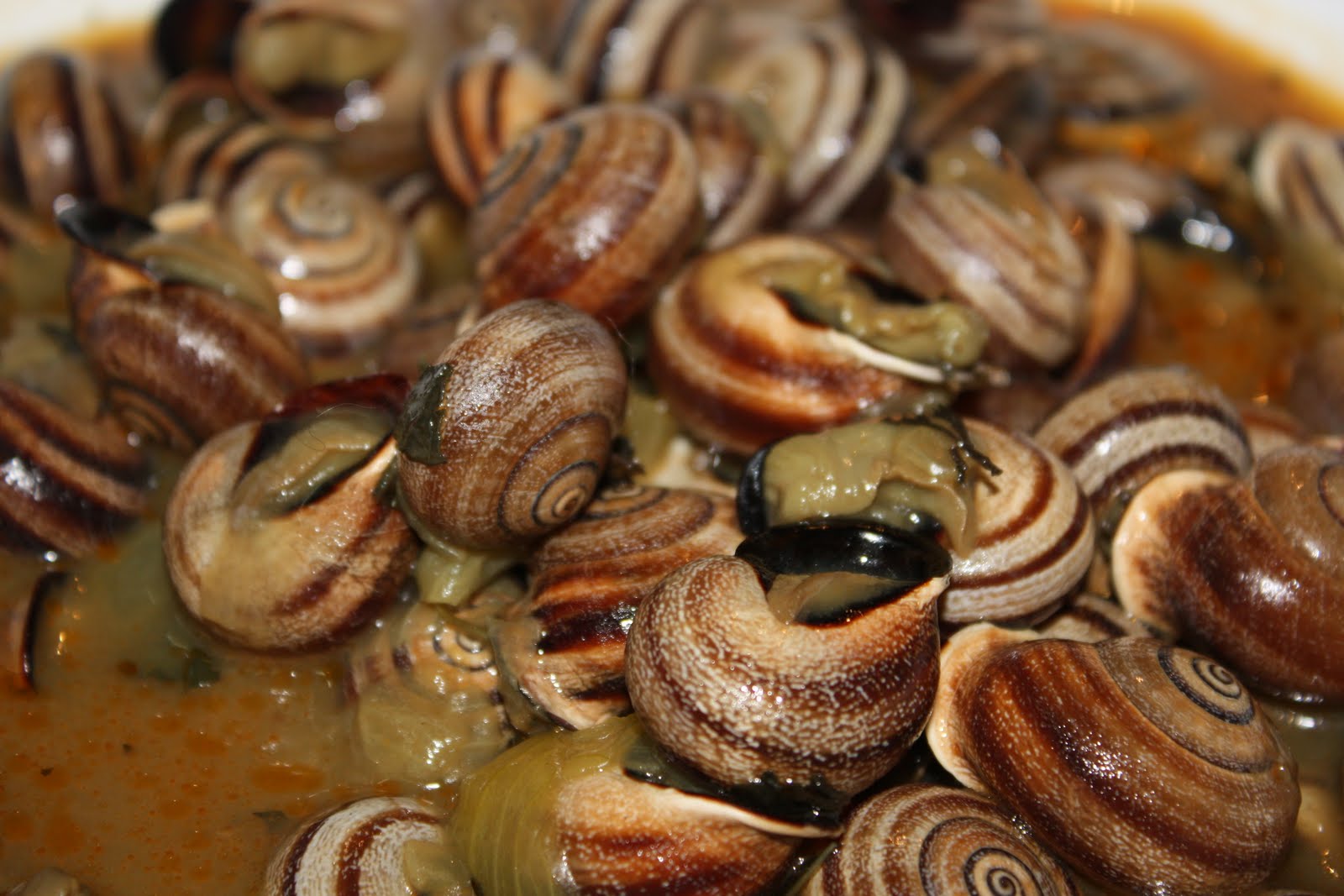 Me pongo el delantal: Caracoles en salsa