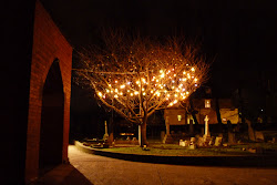 Blackheath Tree of Life at          St Paul's Parish Church
