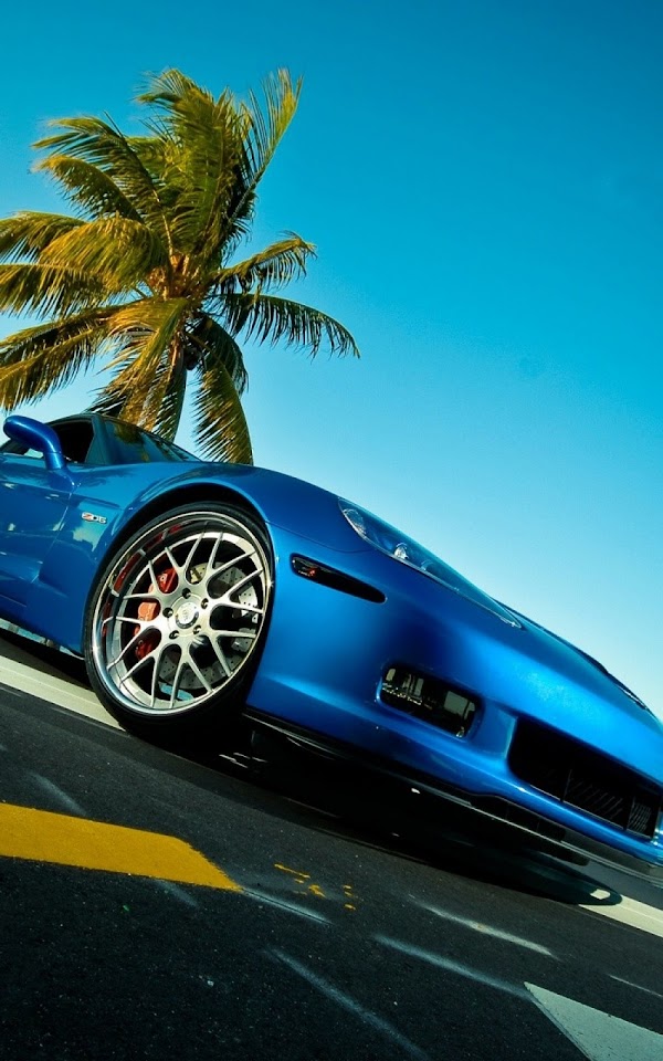 Blue Porsche Super Car Palm Tree  Android Best Wallpaper