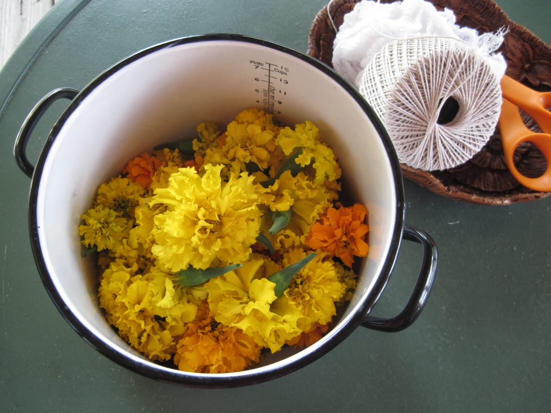 It's My Life! HOW TO DYE WITH MARIGOLDS