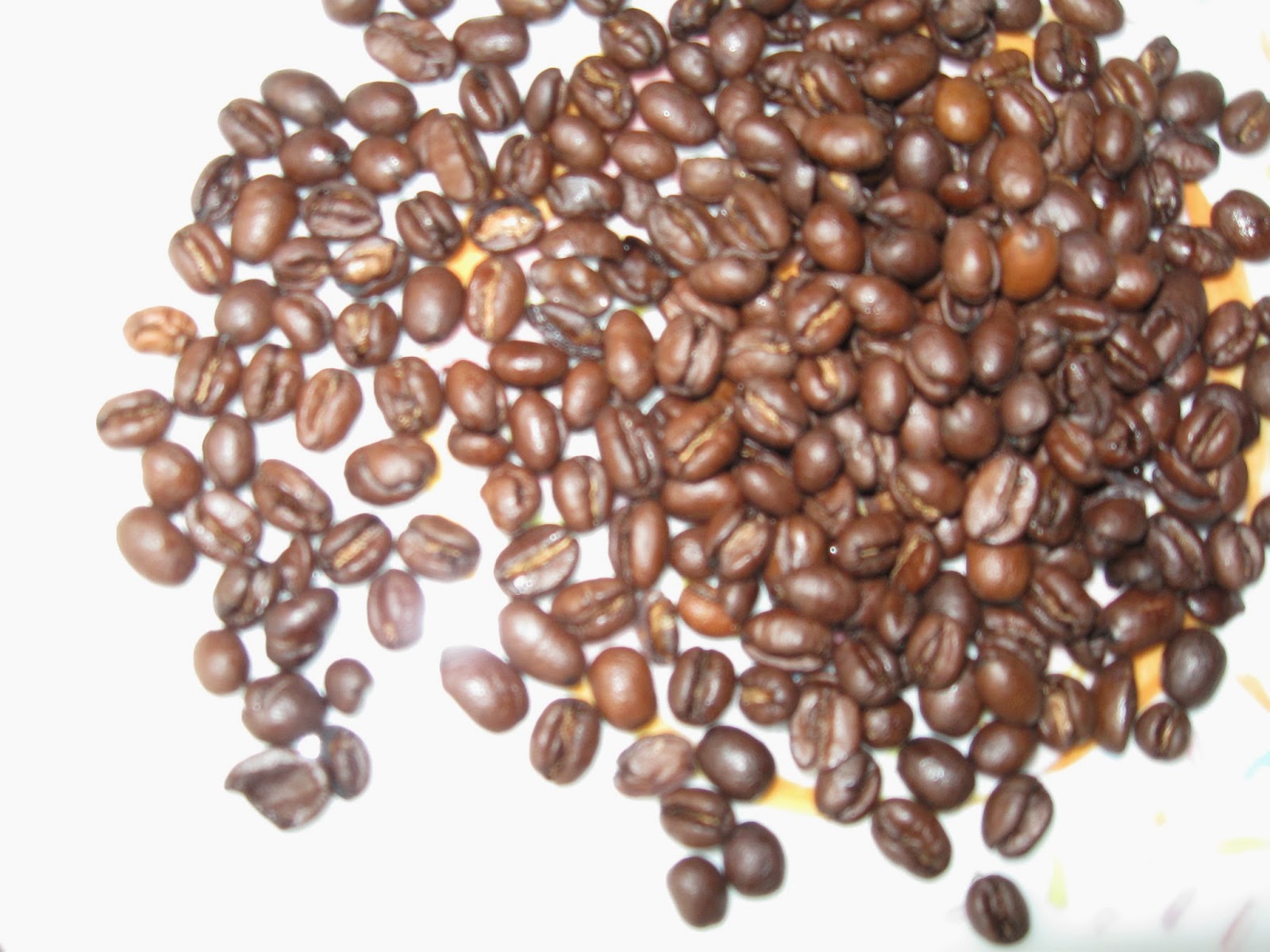 Coffee Lover PEET'S BRAZIL PEABERRY Cutest Little Beans With the