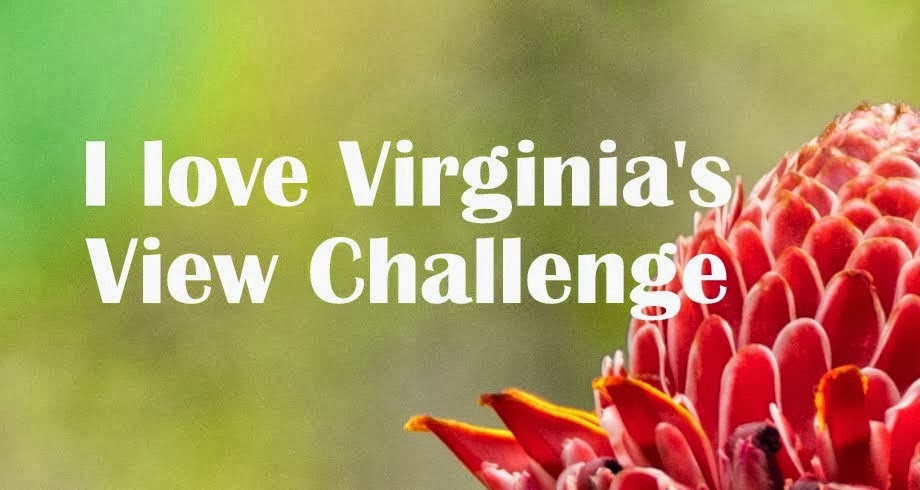 Virginia's View Blog