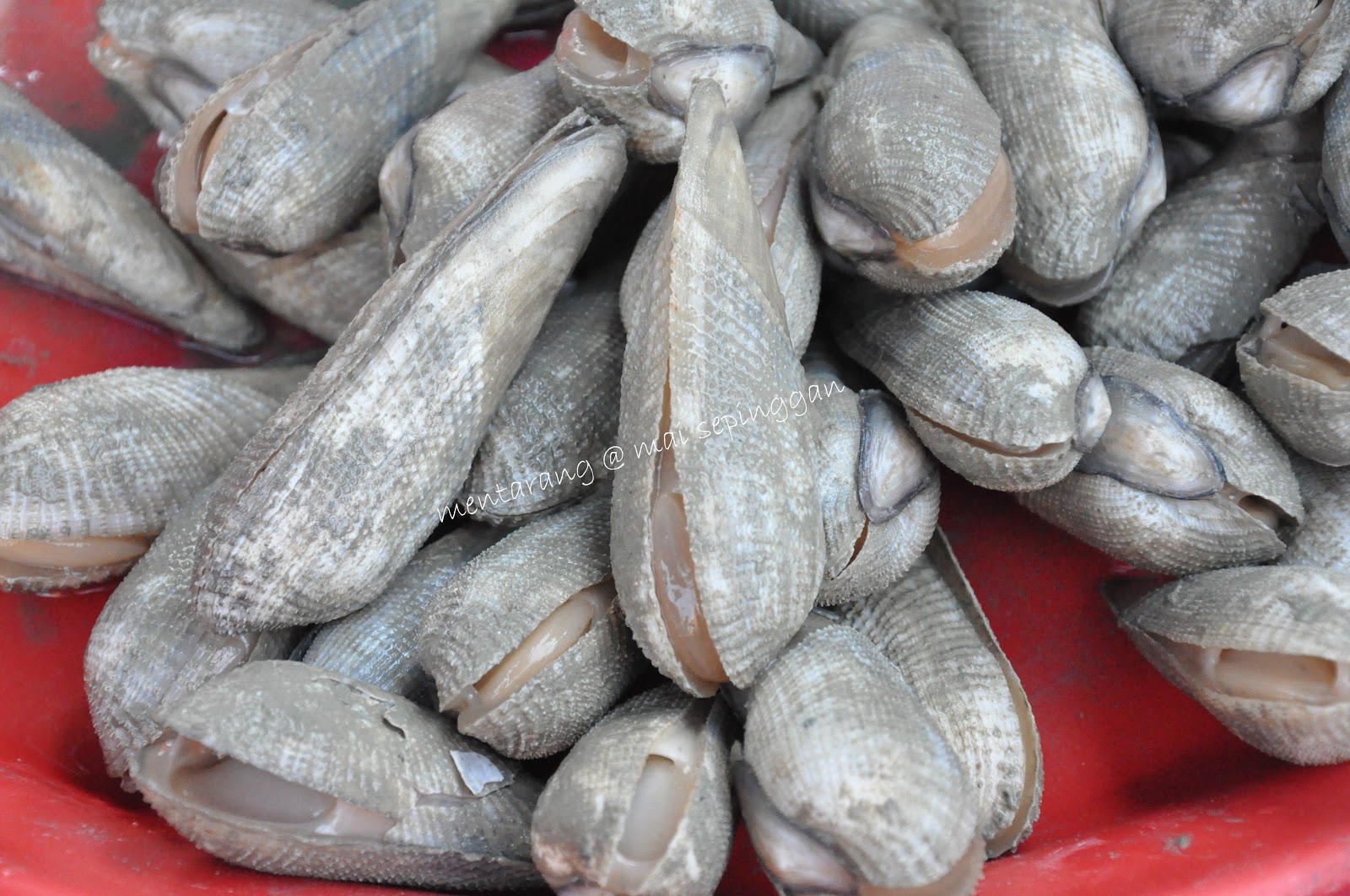 Mai Sepinggan SIPUT MENTARANG SAYUR MANIS MENTARANG