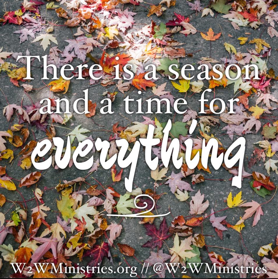 Woman to Woman There is a season and a time for everything...