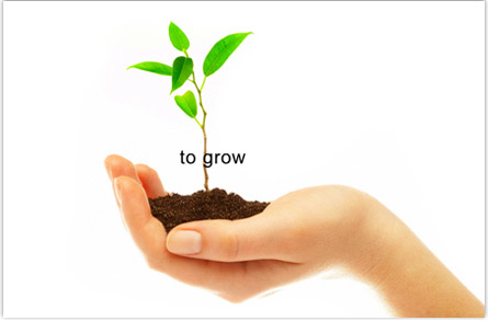 Where do I Go To Grow?