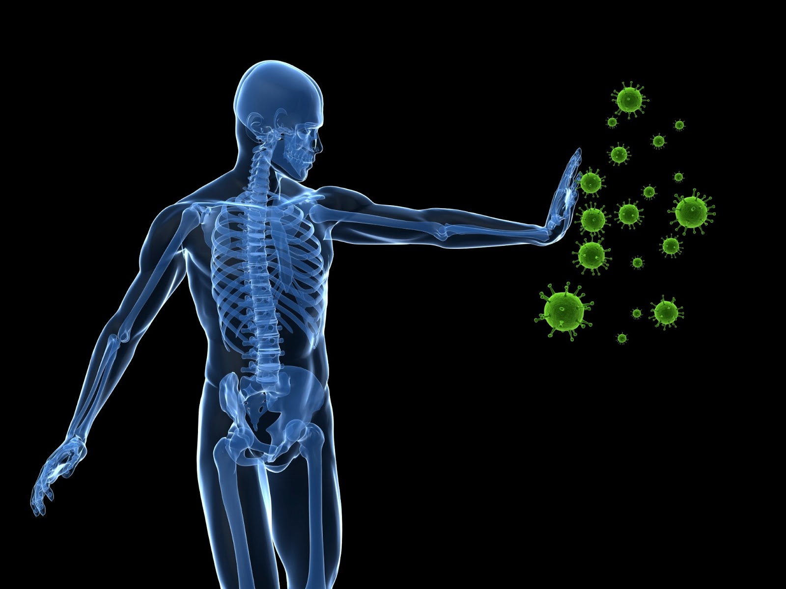 Autoimmune Diseases How Does Cannabis Help?