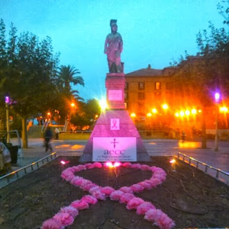 Calahorra es ROSA