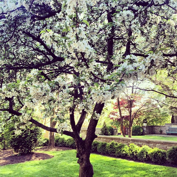 High Street Market: Chestnut Hill Garden Tour