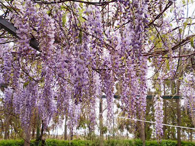 Casi la primavera...