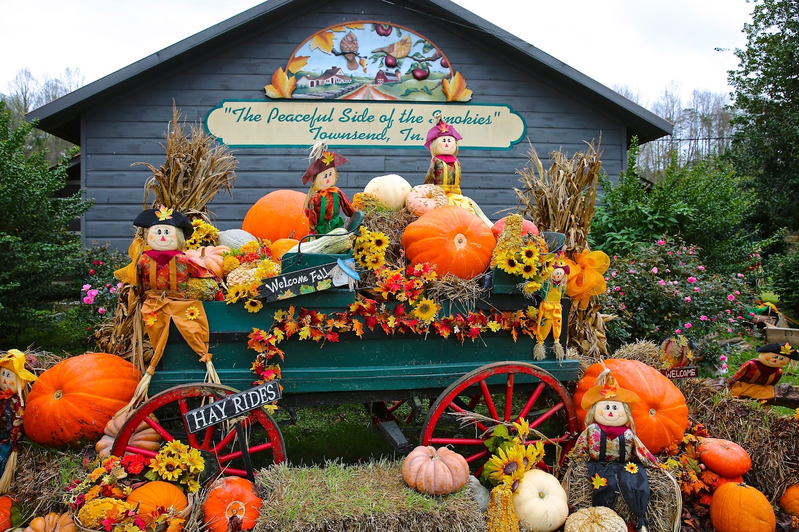 Sweet Southern Days Fall Decorations in the Mountains