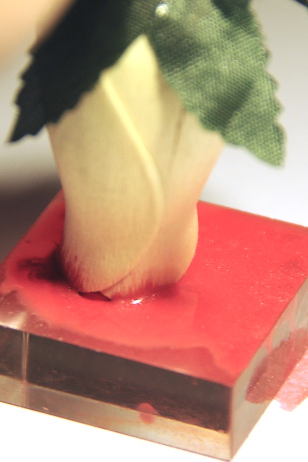 Creative Inspirations Paint dipped roses...