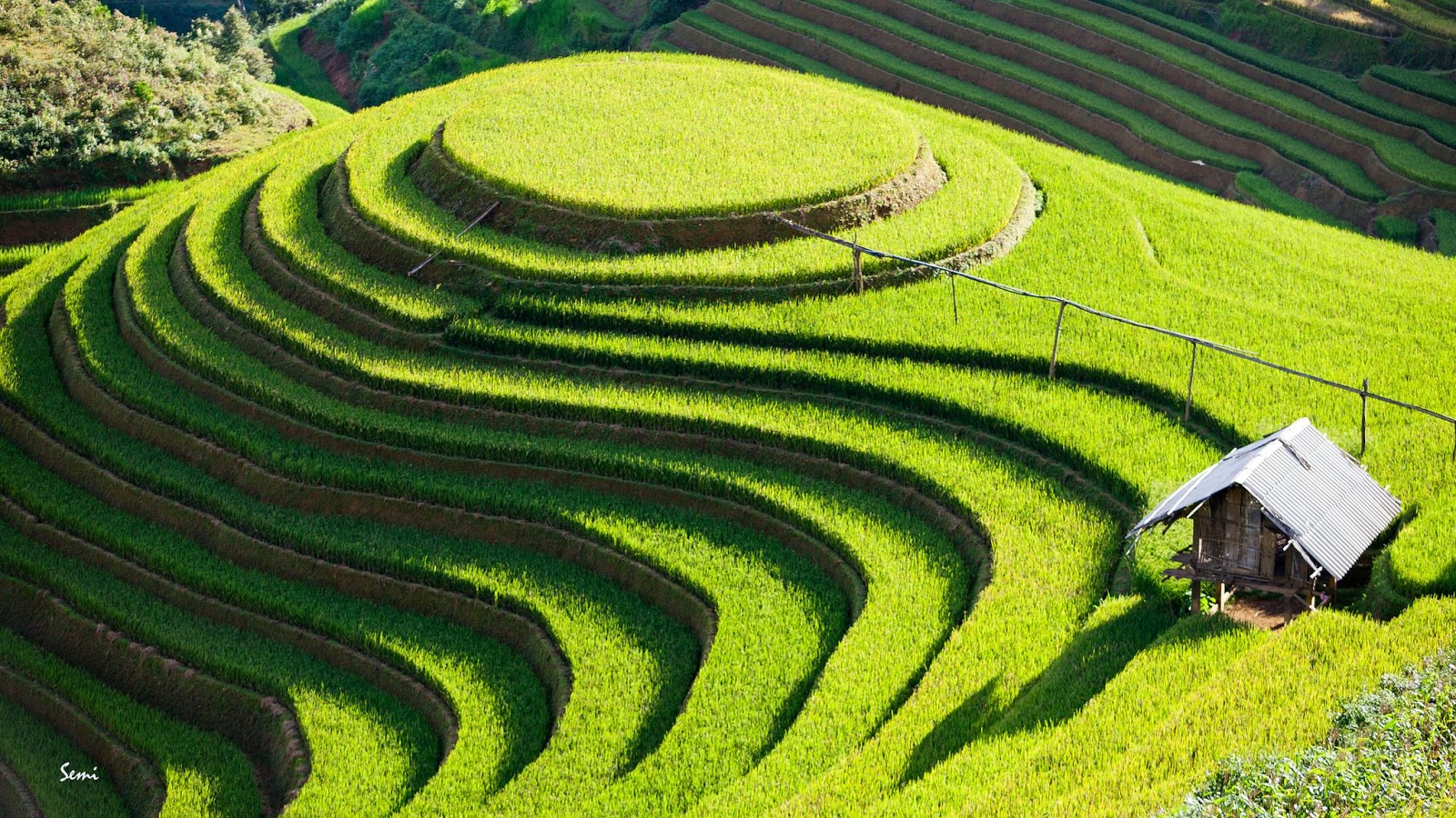 Pernahkah Orang Kota Pergi Ke Wilayah Persawahan ? Inilah