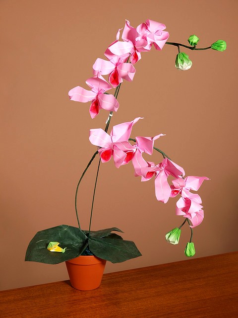 OrchidCraze: Wonderful Orchid Origami..