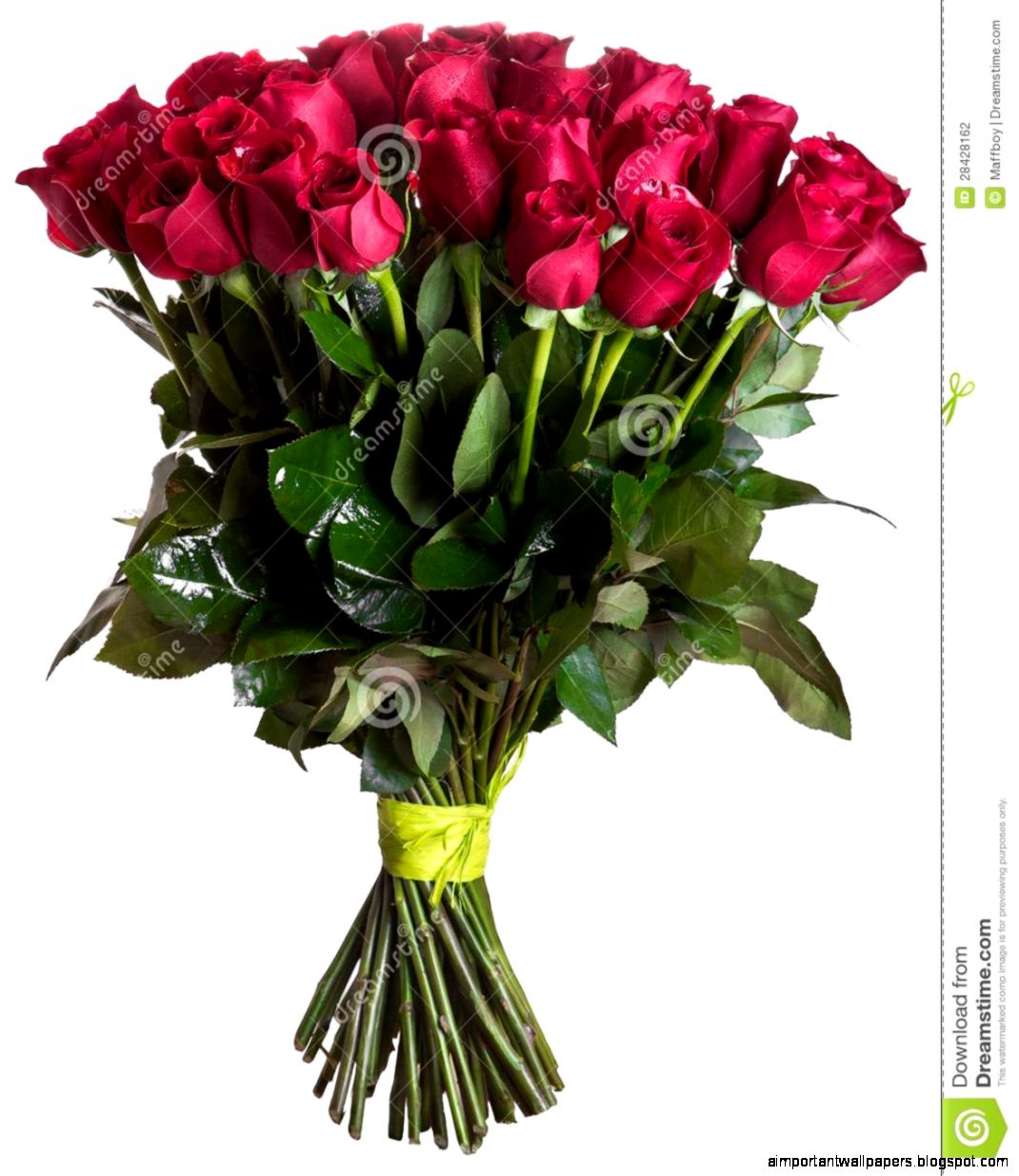 Rose Flowers Bouquet Isolated Stock Photography Image 28428162 Rose Flowers Bouquet Isolated Stock Photography Image 28428162