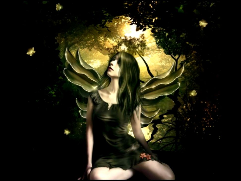 Shinning Butterfly Fairy Wallpaper Fairies Wallpaper 10270474 Shinning Butterfly Fairy Wallpaper Fairies Wallpaper 10270474