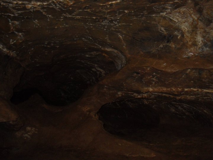 Poinsettia 6459 Peppersauce Cave, Oracle Arizona