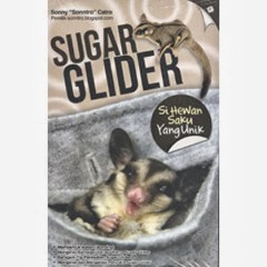 Buku Sugar Glider