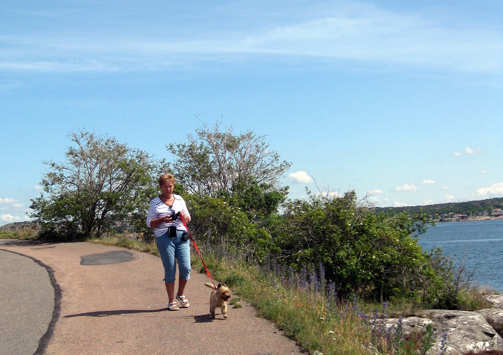 Majas resor Kalvsund!