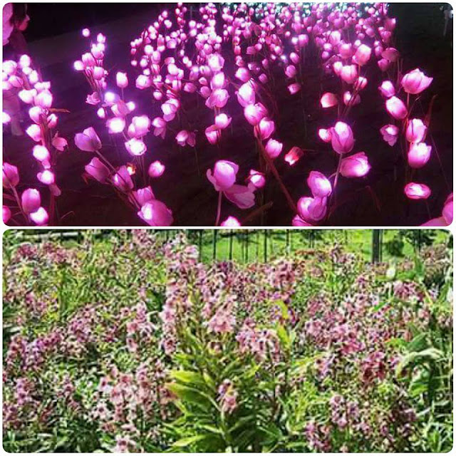 Lokasi Eco Spring -Eco Summer Johor