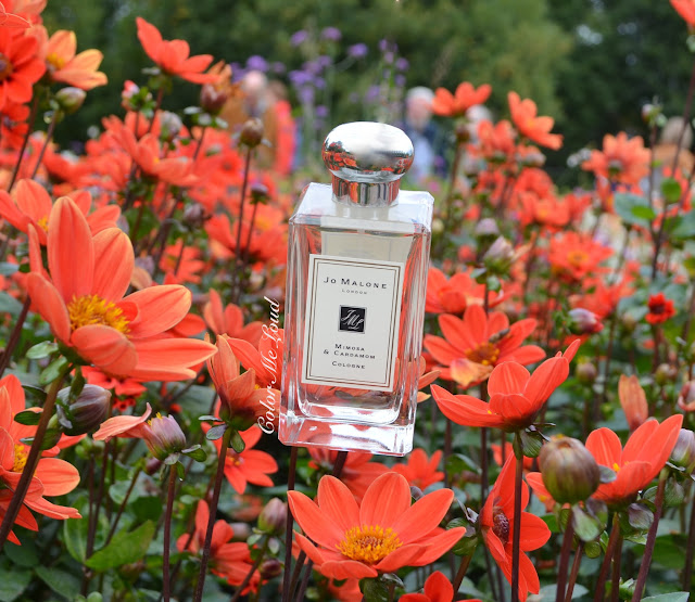 Jo Malone London Mimosa & Cardamom Cologne is the #NewBohemian, Review & Photos