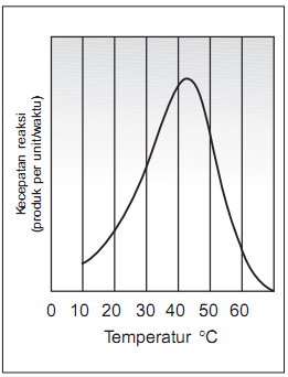 Faktor faktor yang mempengaruhi kerja enzim  BELAJAR BIOLOGI