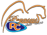 Pegasus Computindo