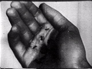 Dali Ants