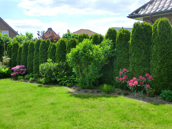 [Image: vuon-hoa-o-duc-3.jpg]