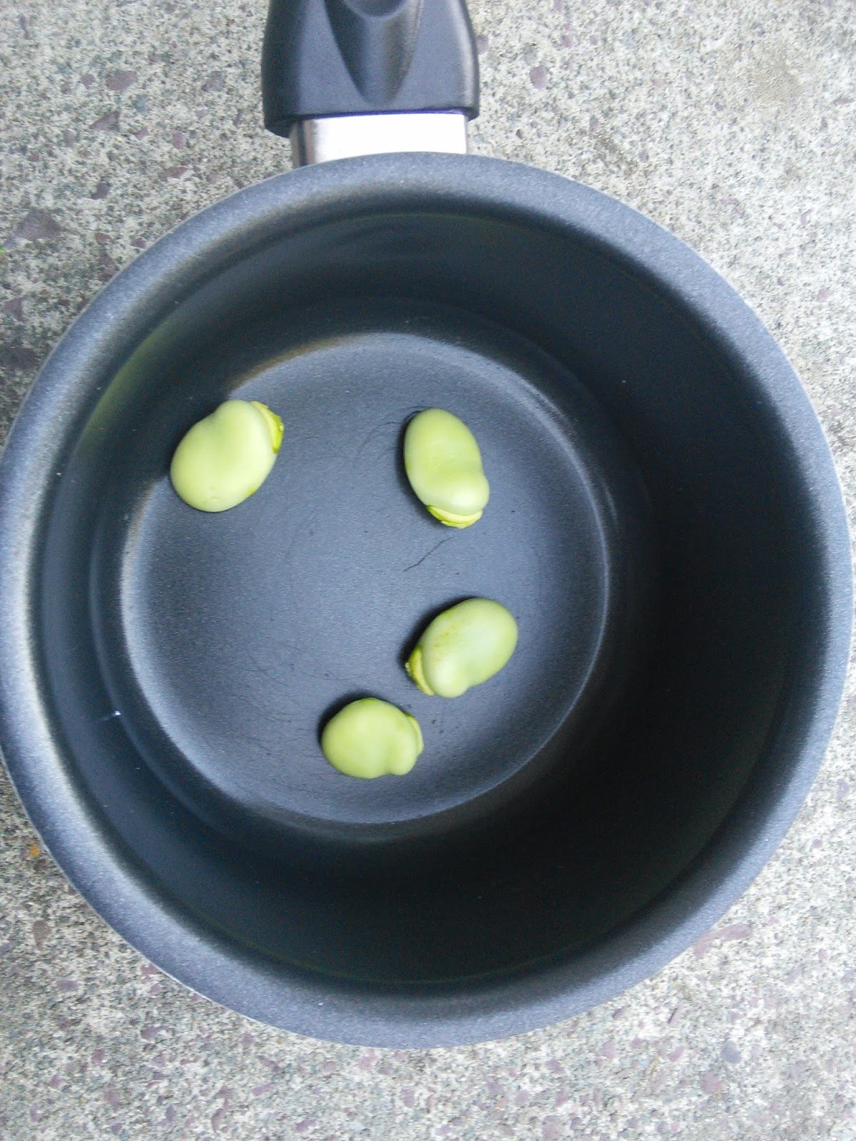 The Carrigaline Crusty Simple Living in Ireland Learning About Broad