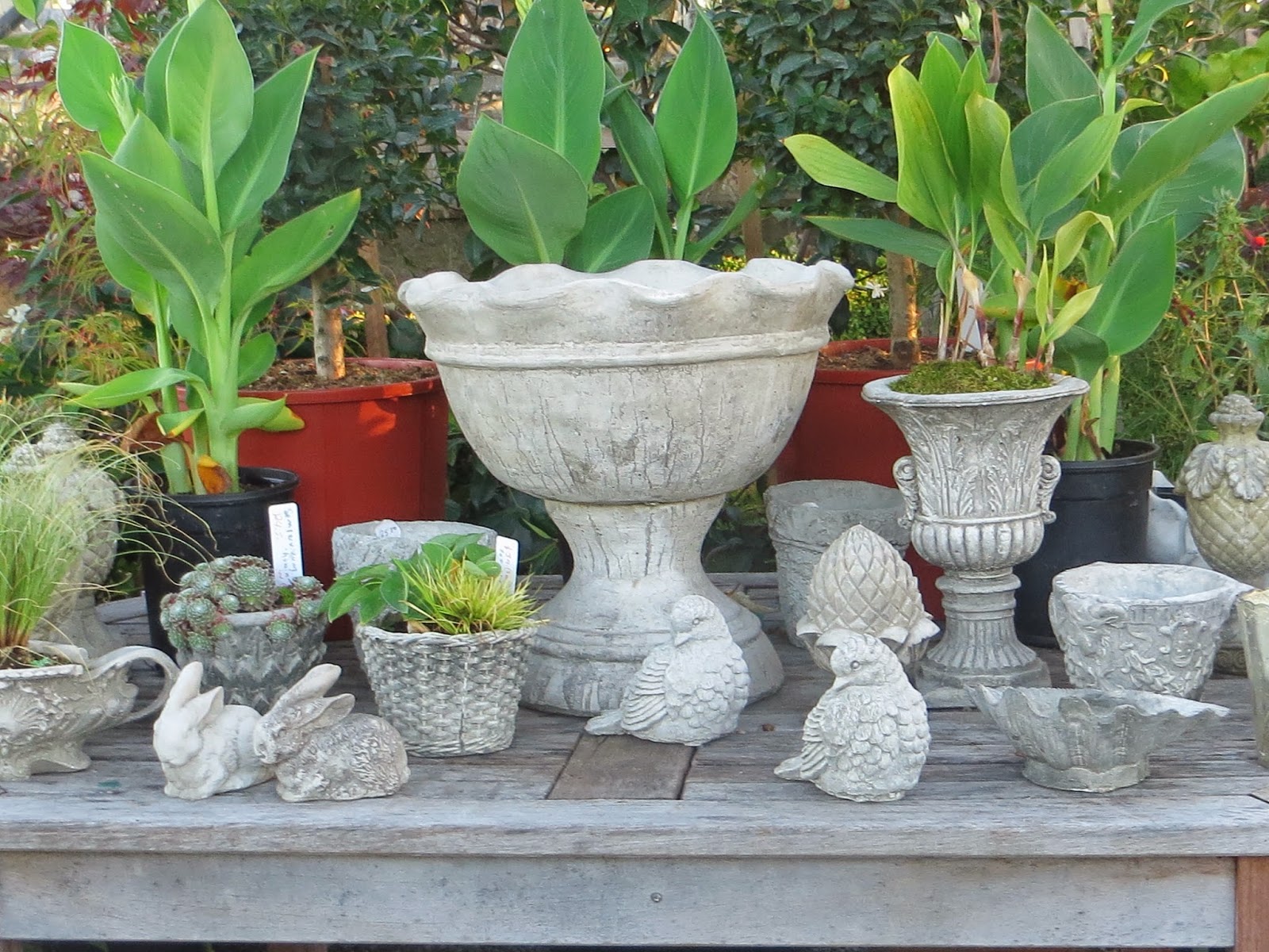 Garden Blogger's Fling, Portland Pomarius Nursery