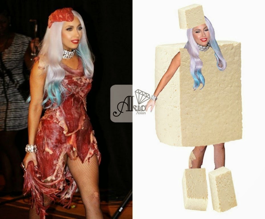 Lady Gaga vestida de tofu | El Blog De AkÃ­o | Celebrity Menswear Street  Style