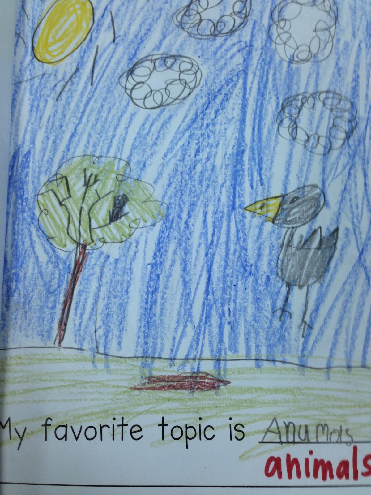 My First Day by Steve Jenkins My First Day by Steve Jenkins