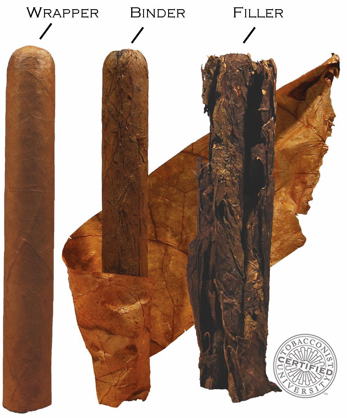 Tobacconist University Cigar Anatomy Final Exam Review