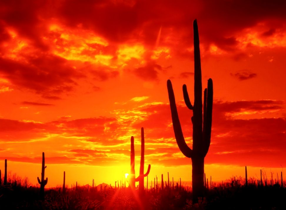 Desert Sunset Wallpapers Desert Sunset Wallpapers