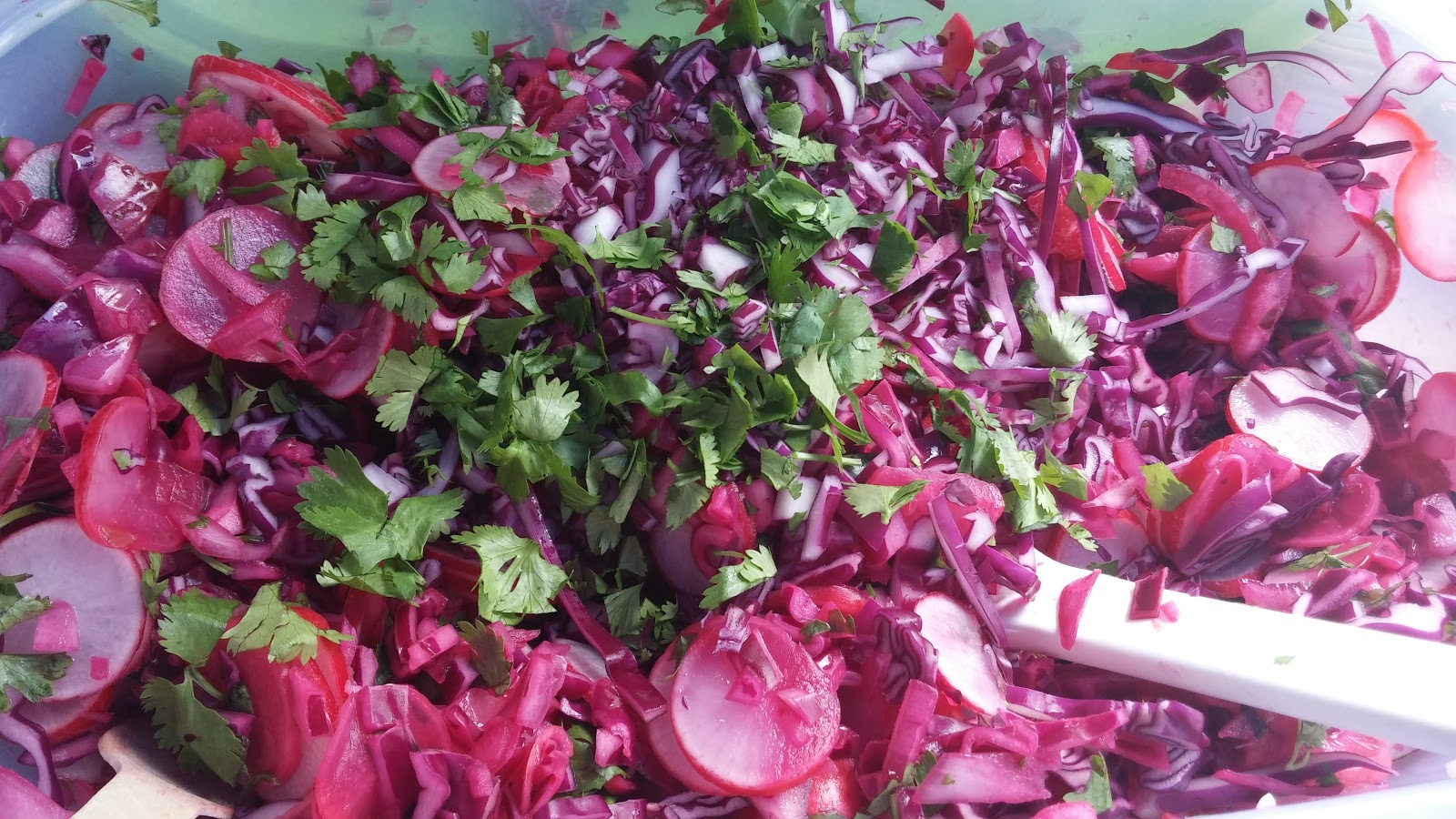 Radishes, Red Cabbage, Red Onion