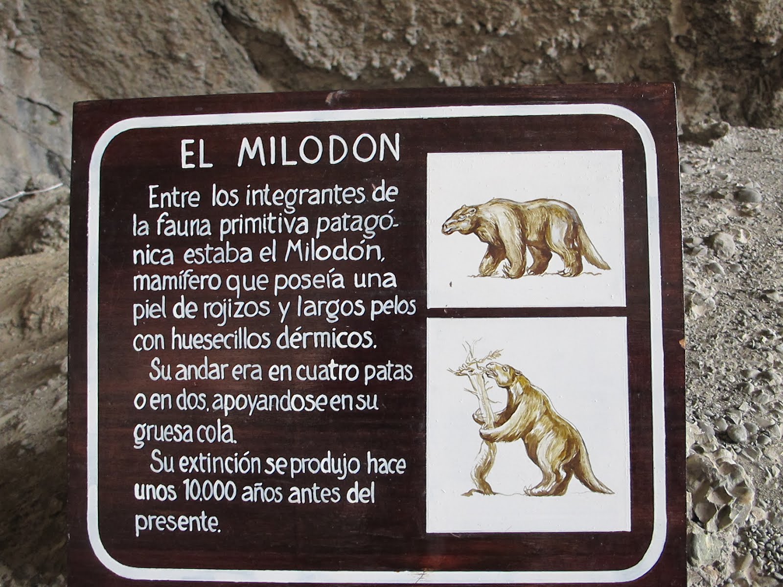 LA NATURALEZA ES NUESTRA PRINCIPAL FUENTE DE SALUD Cueva del Milodon