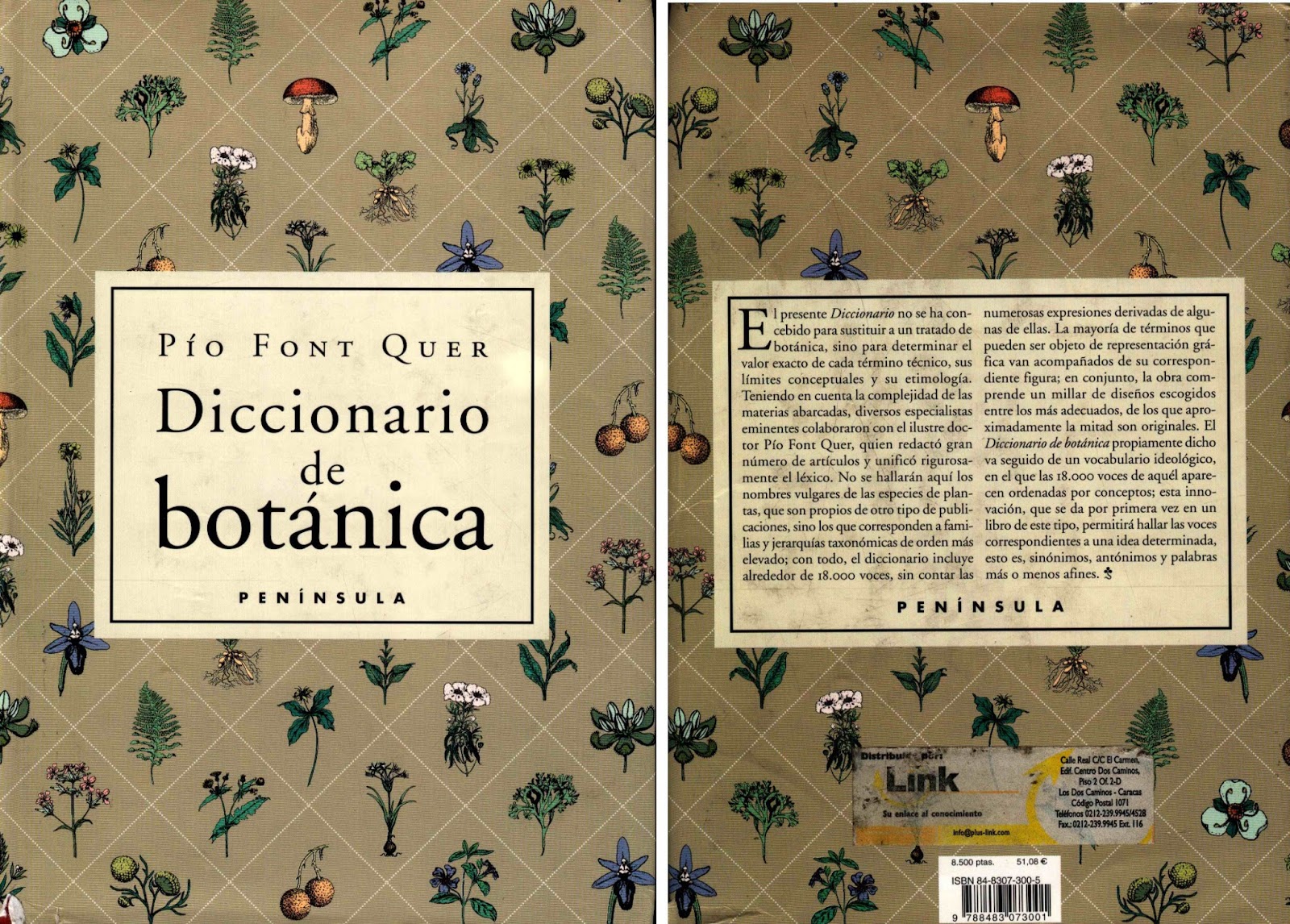 NAVEGADORES, BUSCADOREETABUSCADORES