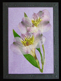 Floral blessings: greeting cards Floral Blessings: Greeting cards