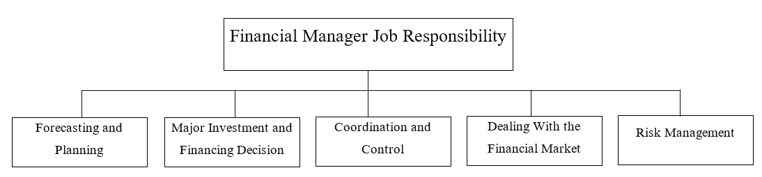 finance manager job description