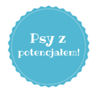 Psy z potencjałem!