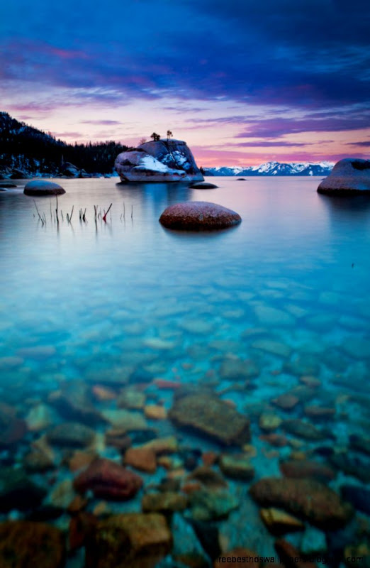 Lake Tahoe Bonsai Rock vert by pdjms1 on DeviantArt Lake Tahoe Bonsai Rock vert by pdjms1 on DeviantArt