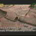 Imam Ali A.S 14 (Shaheed E Kufa)